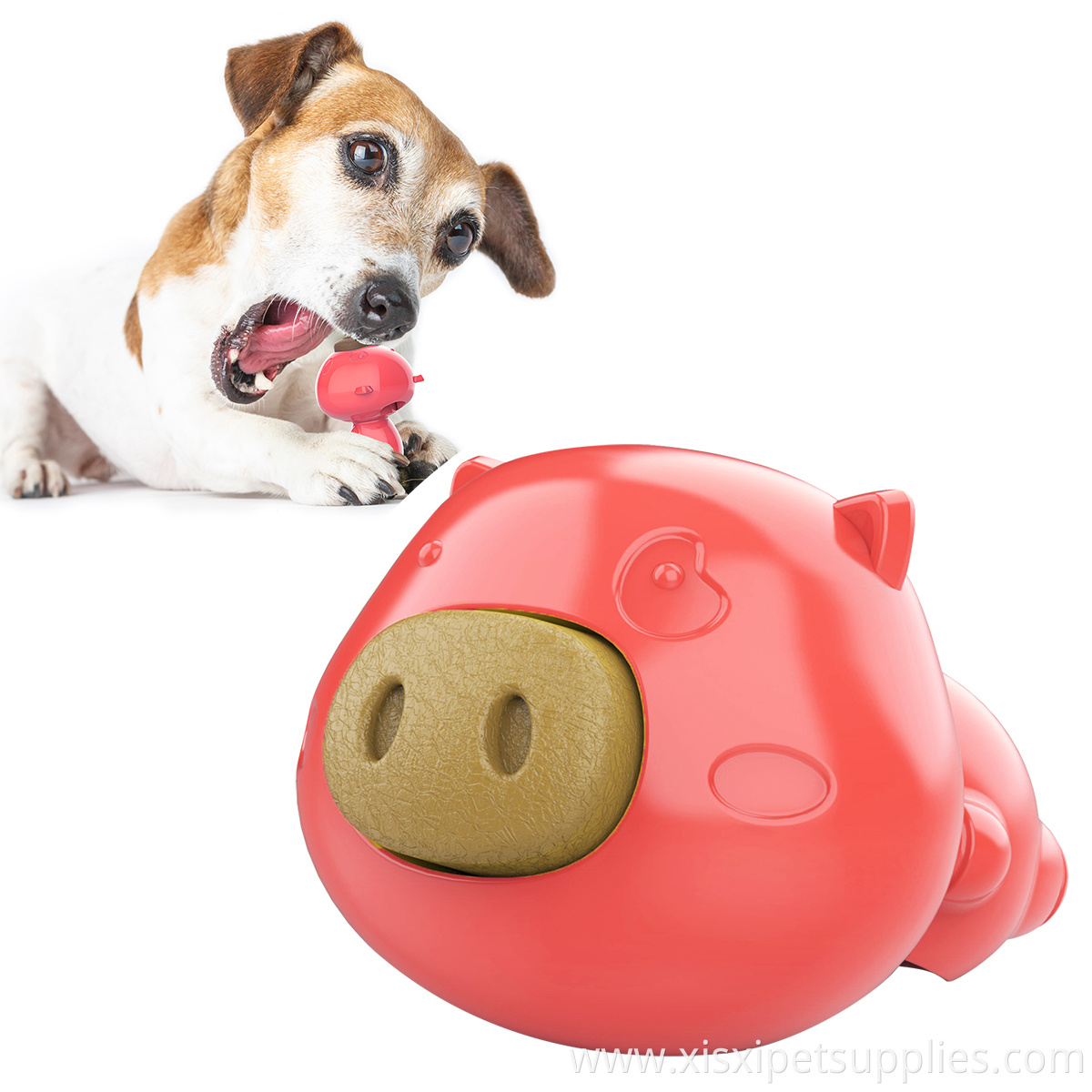 Pet Gog Snack Toy Pet Innovative Accessories Suppliers